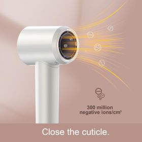 Gray Hair Dryer