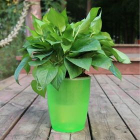 Strongwell Nordic Hydroponics Flower Pot Fairy Garden (Option: Green-18)