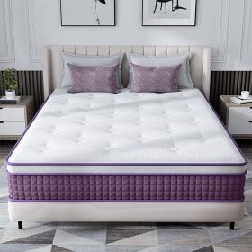 Spring-loaded Hybrid Mattresses 03 Paragraphs (Option: 10inch-Queen)